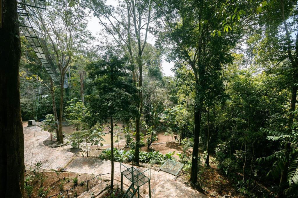 Mountain Top Park Hotel Quepos Exterior photo
