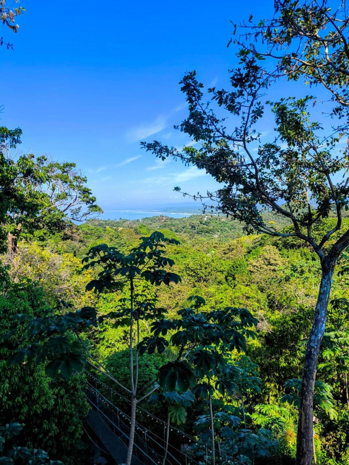 Mountain Top Park Hotel Quepos Exterior photo